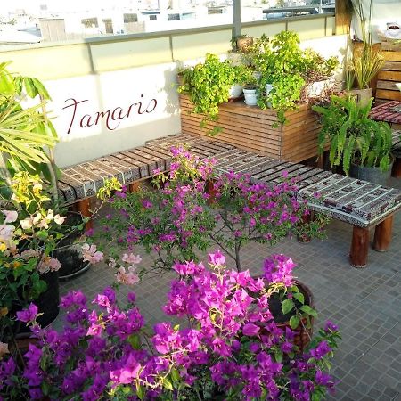 Tamaris Hotel Chiclayo Extérieur photo